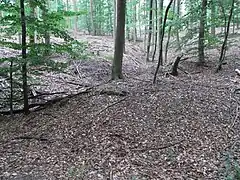 Runse oberhalb der Quelle