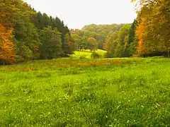 NSG östlich Marscheid