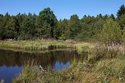 Hochmoor (Tourbière)