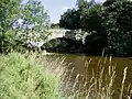 Martin’s Bridge