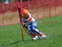 Martin Soltík im FIS-Riesenslalom von Rettenbach im Juni 2010