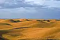 Dünen von Maspalomas im diffusen Sonnenaufgangslicht