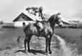 Mastino Graf Della Scala auf Gut Calinesti 1941