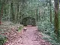 Auf einem der Wanderwege