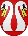 Zwei Schwäne: (Mattstetten, CH)