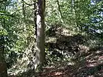 Erhaltene Mauer