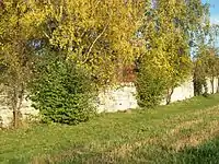 Ein Rest der ehemaligen Klostermauer