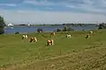 bei Eiland van Maurik, Panorama