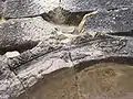 Détail der Archivolte innerhalb des Bogens der cella