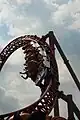 Twisted Horseshoe-Roll