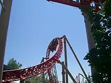 Twisted Horseshoe-Roll