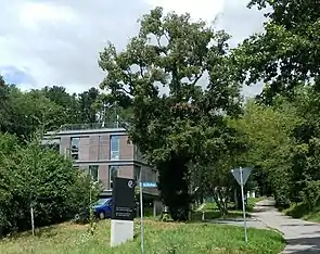 Max-Planck-Institut für Verhaltensbiologie