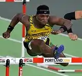 Omar McLeod wurde Sechster