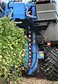 Traubenvollernter im Einsatz