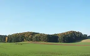 Mecklenburger Schweiz am Malchiner See