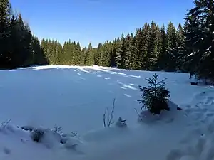 Der Jelení jezírko im Winter