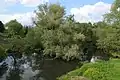 Der Fluss Medynka in der Stadt