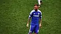 Raul Meireles