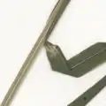 Melica picta, Blatthäutchen (Herbarbeleg)