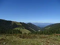 Blick von der Nordostflanke des Lärchkogels durch den Weitentalgraben nach Norden. Links Melkboden und Zechneralm, im Hintergrund die  Eisenerzer Alpen.