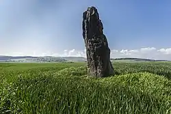 Der Menhir von Benzingerode (2014)