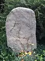 Nachbildung Menhir IV (männlich), 1942 mit Menhir III gefunden; Höhe 1,39 m.