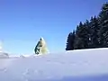 Menhir auf Planezzas