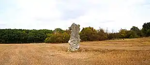Menhir Pierre de Minuit
