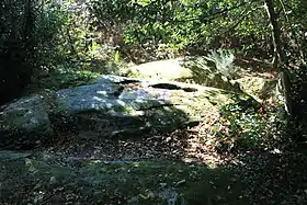 Der liegende Menhir von Kerara
