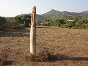 Menhir Vaccil-Vecchio