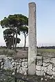Menhir delle Franite