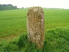 Menhir des Planches mit Schälchen auf der Oberseite