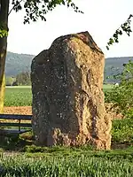 Der Menhir von Ober-Mörlen