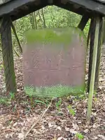 Menhir von Wellen