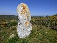 Menir de Aspradantes