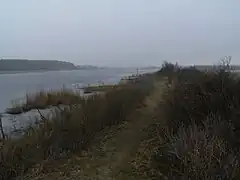 Wiedervernässter Torfstich-Polder(Menzlin, Vorpommern)