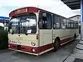 O 305, Standard-Stadtlinienbus