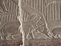 Relief: ein Flusspferd greift ein Nilkrokodil an