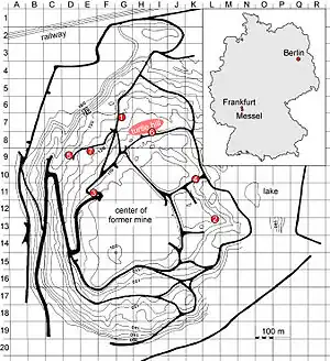 Karte der Grube Messel