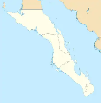 Tortuga (Mexiko) (Baja California Sur)