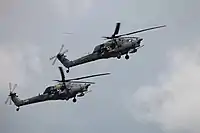 Berkuti (Kunstflugstaffel)