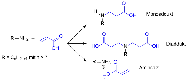 Michael-Addition von Acrylsäure an Amine