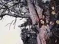 Nymphe im Wald
