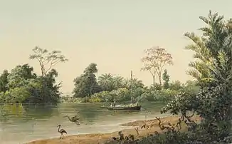 Caroni River, Trinidad