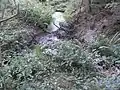 Grabentasche?