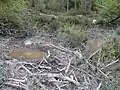 Quelle am Donnerskopf