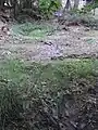Kein Durchlass
