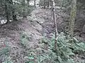 Damm von Teich