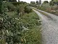 Quelle und Tümpel