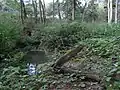 Am Auslass RÜ